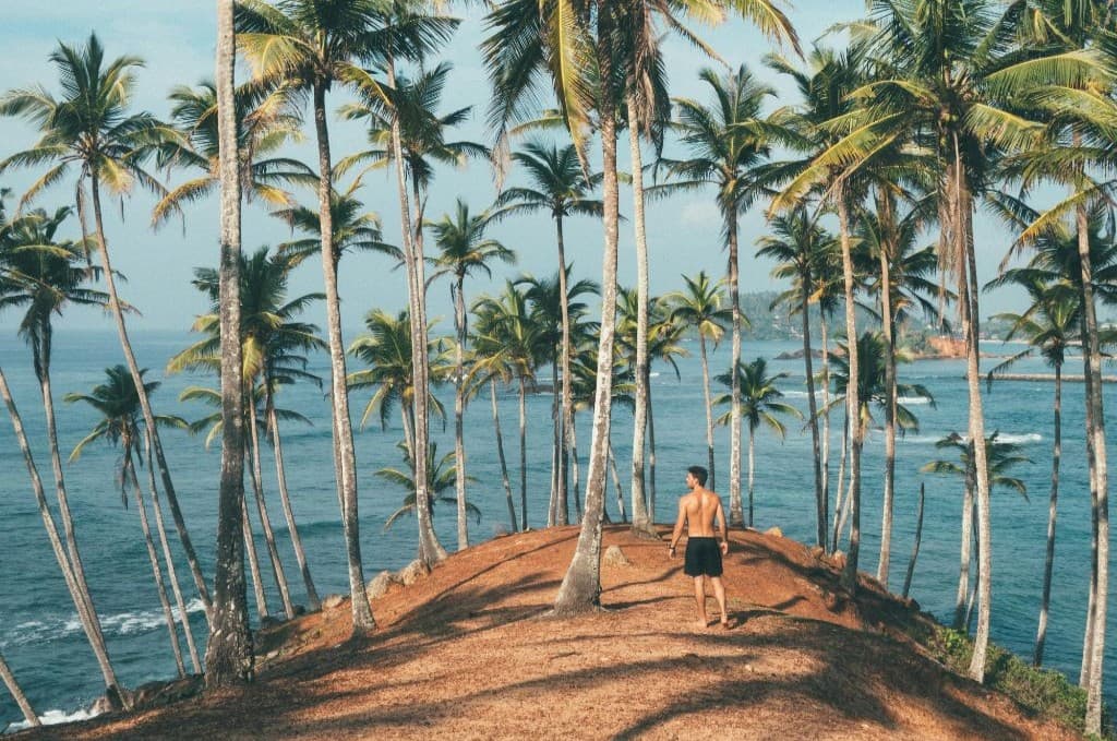 VIP Tour Transportation main image