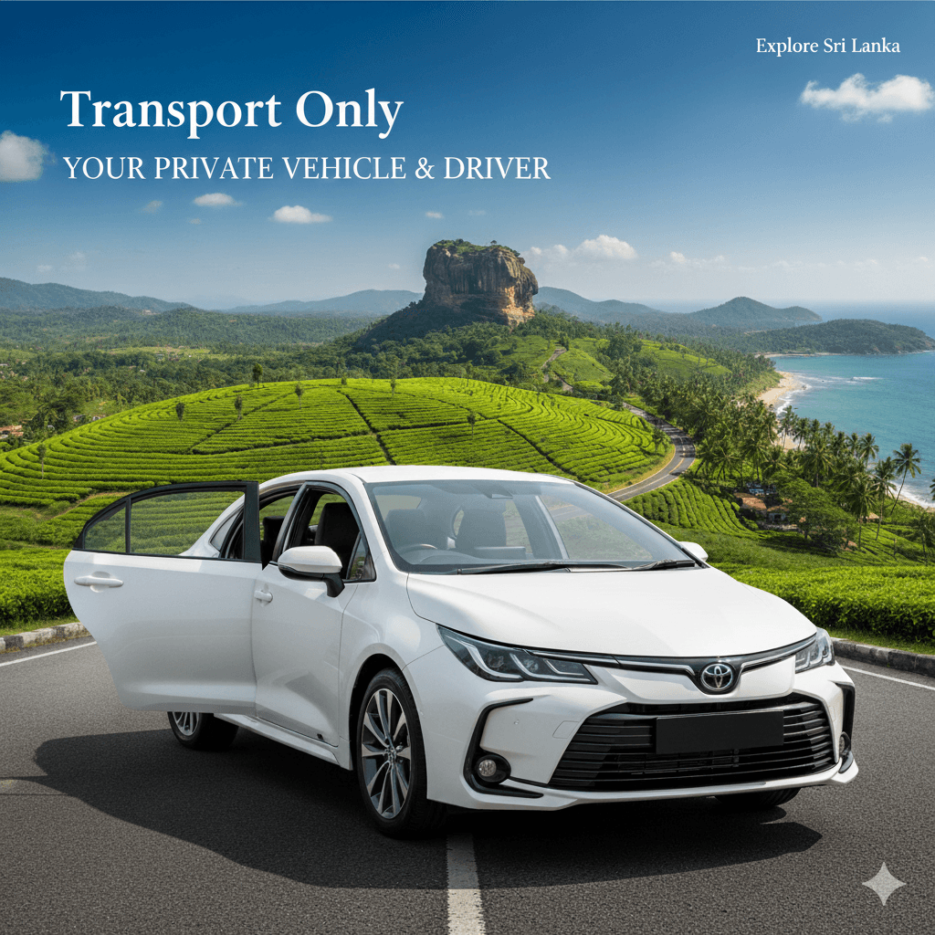 Private Transportation-Only Package collage image 1