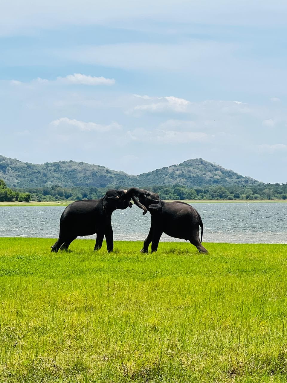 Sri Lanka Gallery Image 1