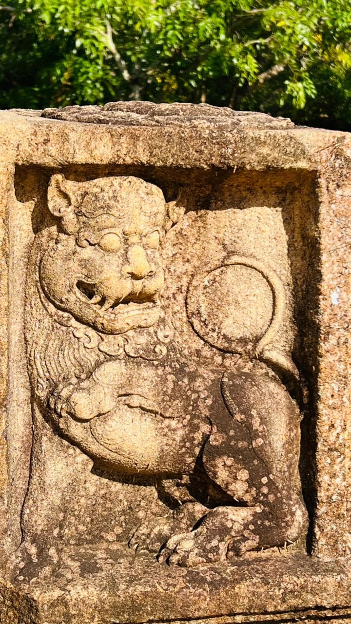 Sri Lanka 7 Days Transportation collage image 2