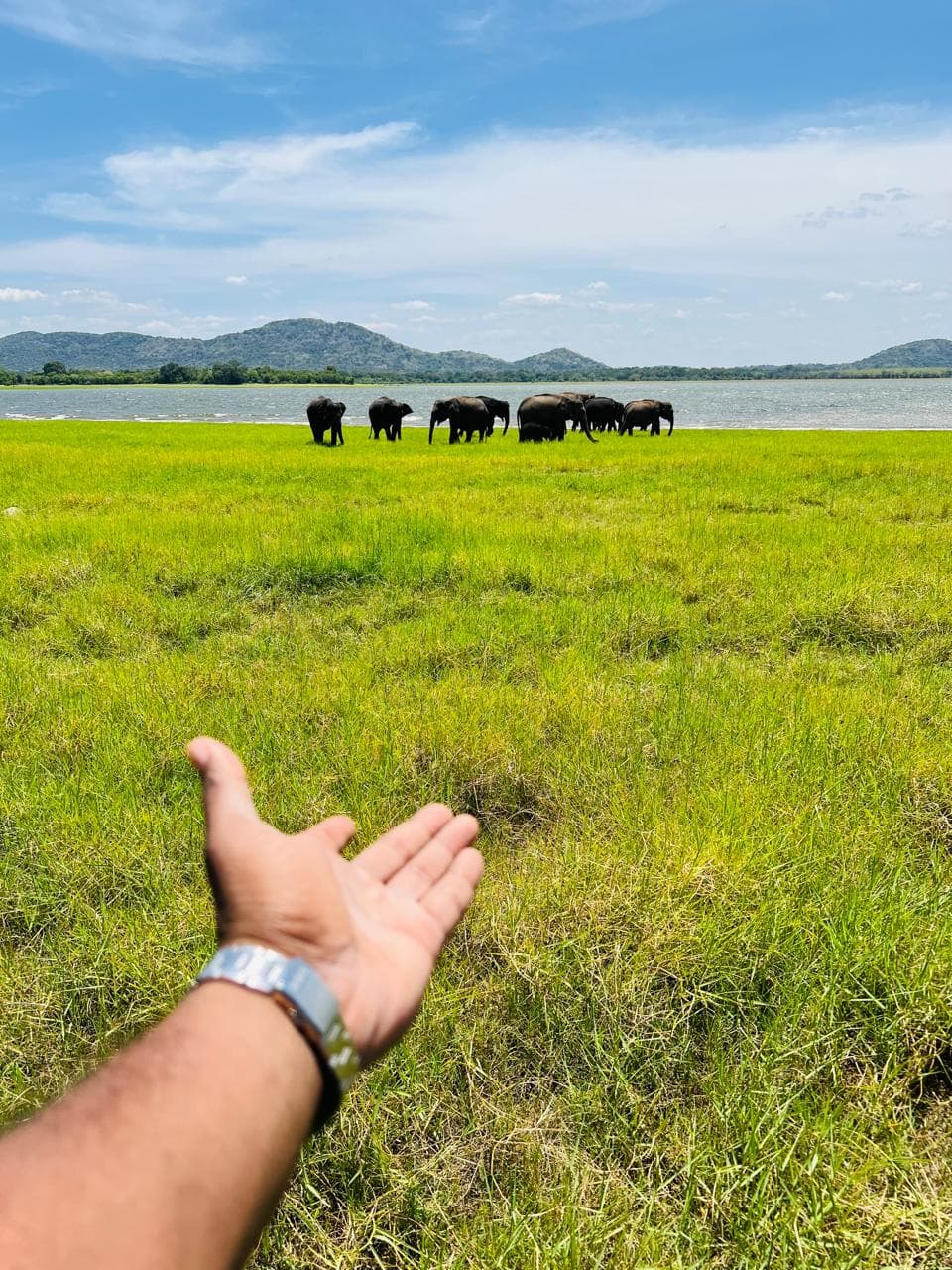 Sri Lanka Gallery Image 3