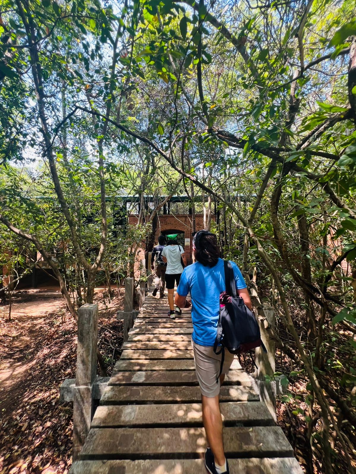 Leisure Travel Safari Package collage image 2