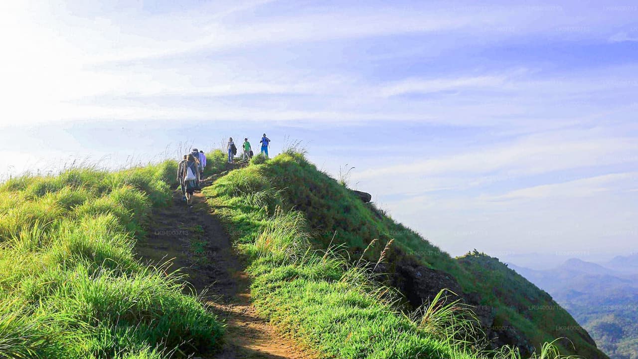 Yana Tours Lanka Testimonials - Real Guest Reviews